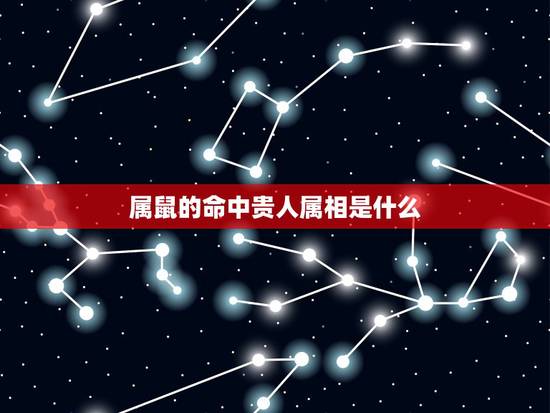 属鼠的命中贵人属相是什么,属鼠的三合贵人属相 属鼠的命中贵人属相是什么,属鼠的三合贵人属相