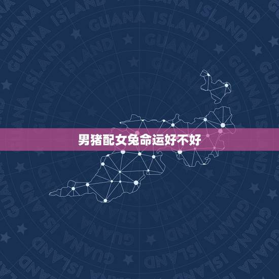 男猪配女兔命运好不好，95属猪男和99属兔女