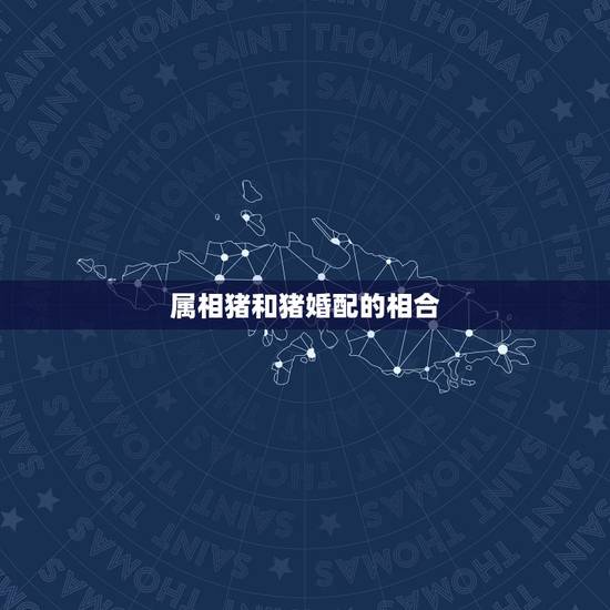 属相猪和猪婚配的相合，属猪的和什么属相最配