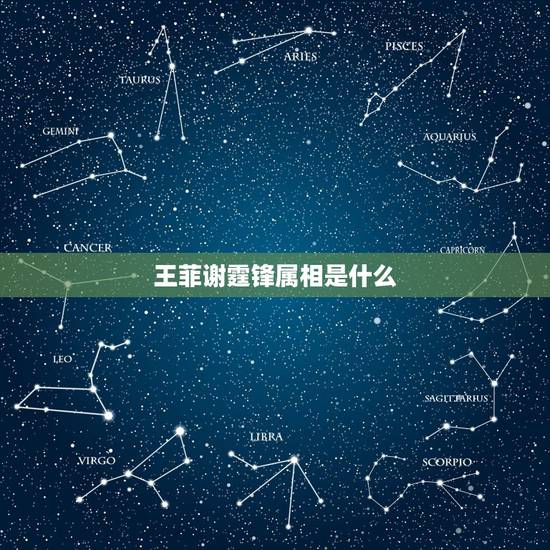 王菲谢霆锋属相是什么,王菲谢霆锋都是什么命人 王菲谢霆锋属相是什么,王菲谢霆锋都是什么命人