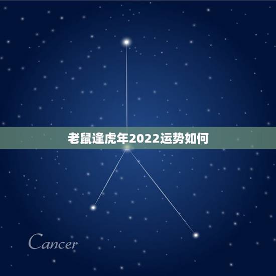 老鼠逢虎年2022运势如何 属鼠女人有多厉害