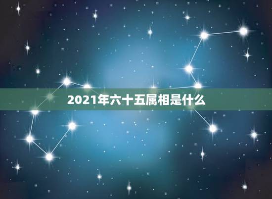 2021年六十五属相是什么,2021是什么年什么属性 2021年六十五属相是什么,2021是什么年什么属性