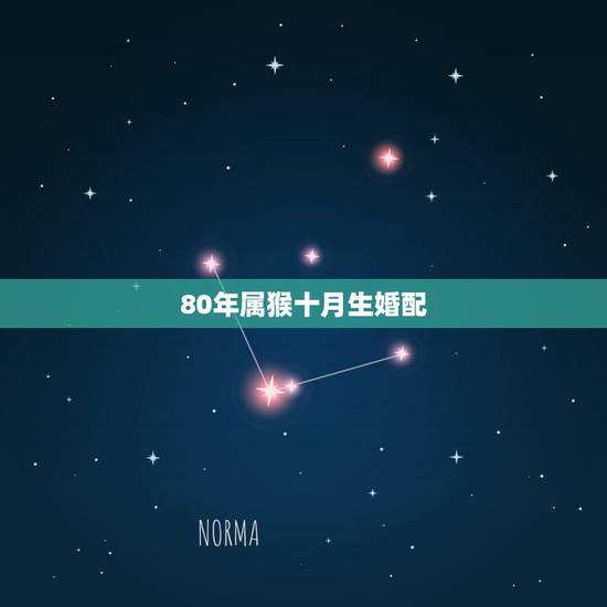80年属猴十月生婚配，1980年属猴男和1982年属狗女般配么