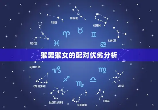 猴男猴女的配对优劣分析