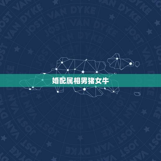 婚配属相男猪女牛,属猪男和属牛女配吗 婚配属相男猪女牛,属猪男和属牛女配吗