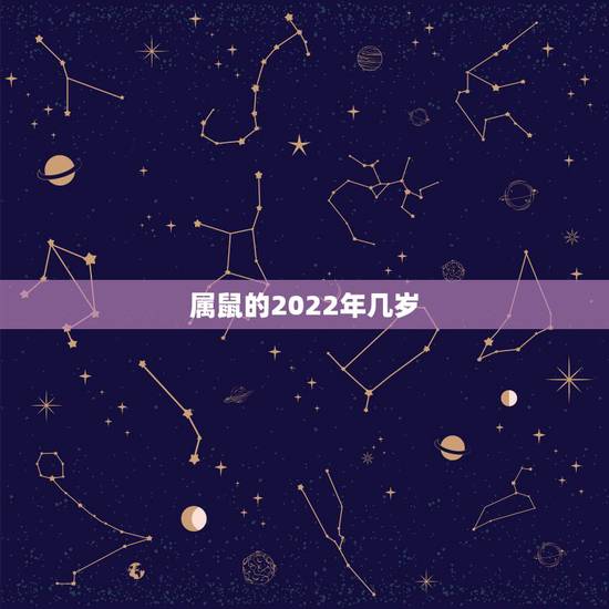 属鼠的2022年几岁，1984年鼠2022年运势