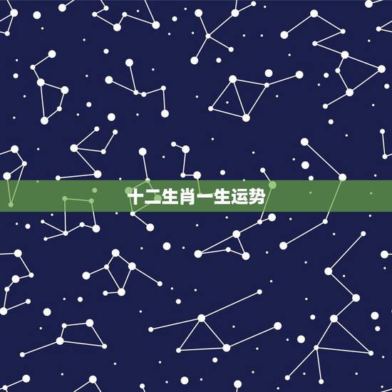 十二生肖一生运势,2021生肖运势大解析 十二生肖 十二生肖一生运势,2021生肖运势大解析 十二生肖