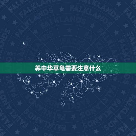 养中华草龟需要注意什么，中华草龟用自来水养行吗？喂什么？养龟的缸子里还