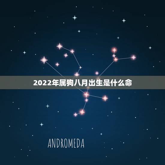 2022年属狗八月出生是什么命，属狗十月出生是什么命