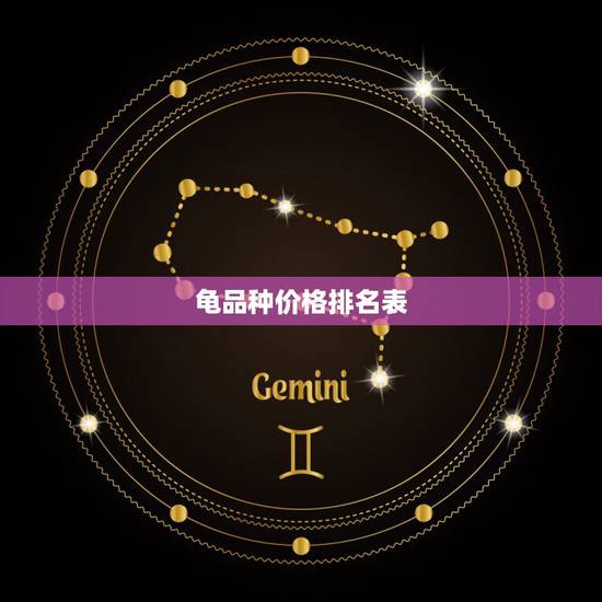 龟品种价格排名表，龟的品种价格排名是怎样的？