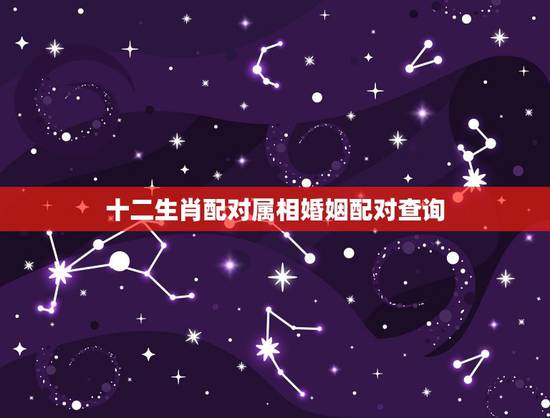 十二生肖配对属相婚姻配对查询,生肖配对查询 十二生肖配对属相婚姻配对查询,生肖配对查询
