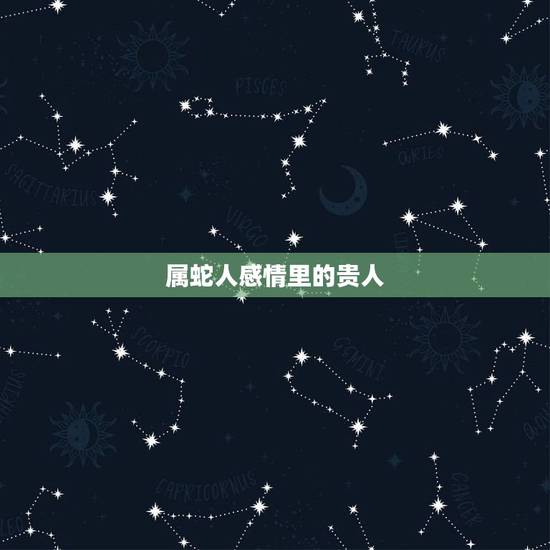 属蛇人感情里的贵人,2022 年属蛇女性贵人生肖 属蛇人感情里的贵人,2022 年属蛇女性贵人生肖