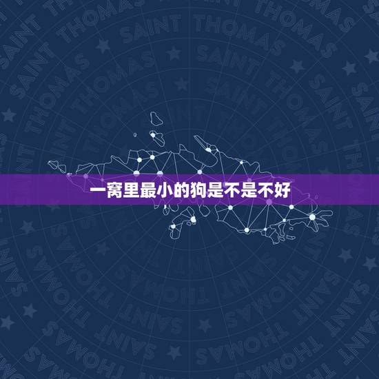 一窝里最小的狗是不是不好,一窝土狗怎么挑更好的 一窝里最小的狗是不是不好,一窝土狗怎么挑更好的