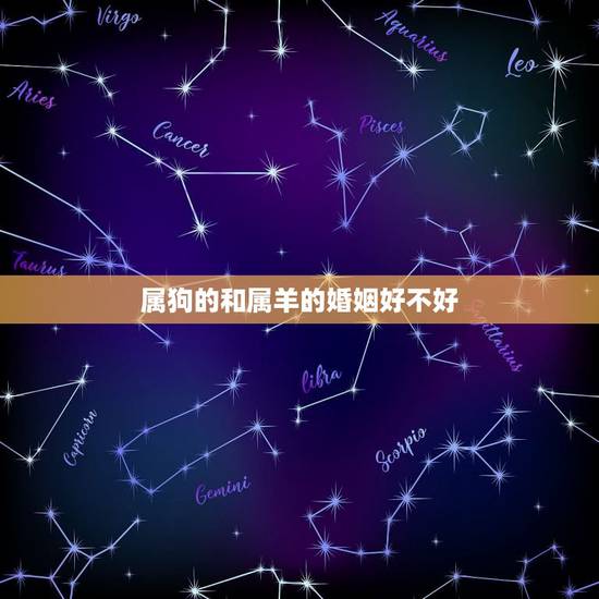 属狗的和属羊的婚姻好不好，男属狗女属羊这样的婚姻好吗