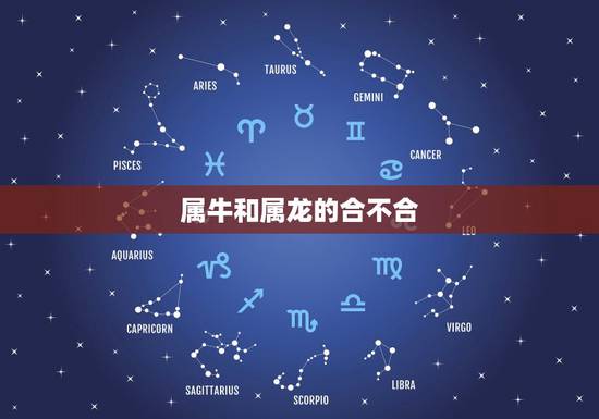 属牛和属龙的合不合，属龙人和属牛人谁厉害