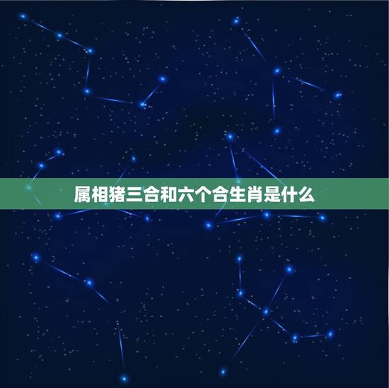 属相猪三合和六个合生肖是什么，属猪的相配吗 属龙和属猪的婚姻合不合