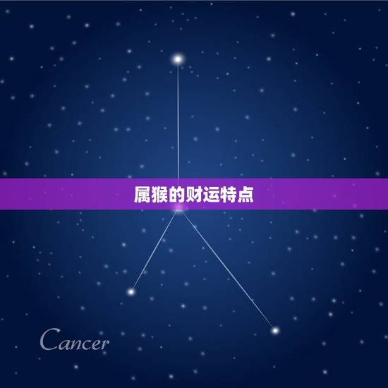 属猴的财运特点 属猴的财运特点