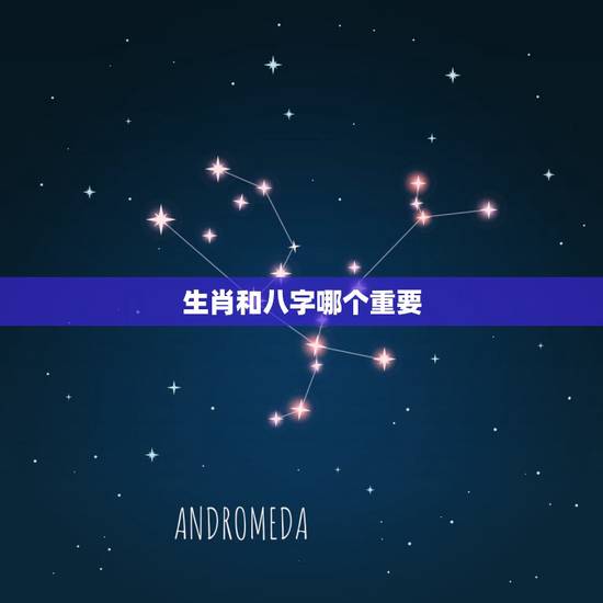 生肖和八字哪个重要，和八字对生肖