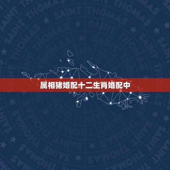 属相猪婚配十二生肖婚配中,十二生肖属猪跟什么属相(婚恋)最相配 属相猪婚配十二生肖婚配中,十二生肖属猪跟什么属相(婚恋)最相配