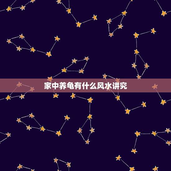 家中养龟有什么风水讲究,养龟应该讲究什么风水 家中养龟有什么风水讲究,养龟应该讲究什么风水