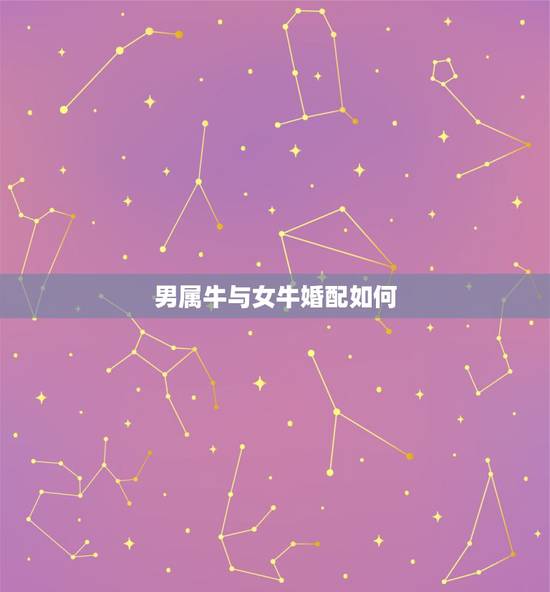 男属牛与女牛婚配如何，男属牛女属虎的婚配怎么样？能结婚吗