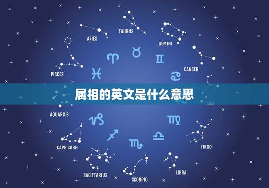 属相的英文是什么意思，怎样用英文解释“本命年”“生肖”之类的