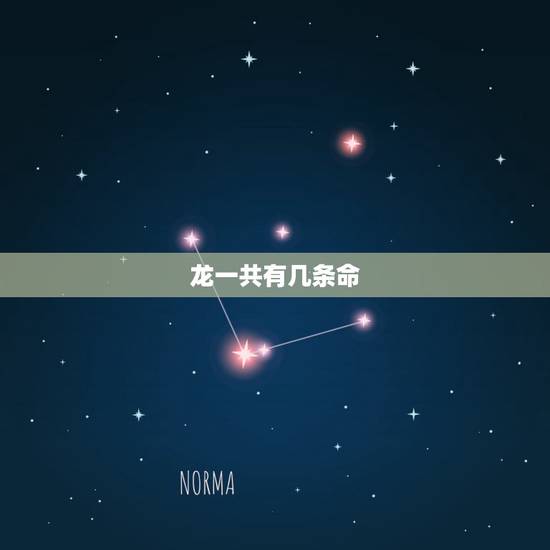 龙一共有几条命，地动仪上一共有几条龙