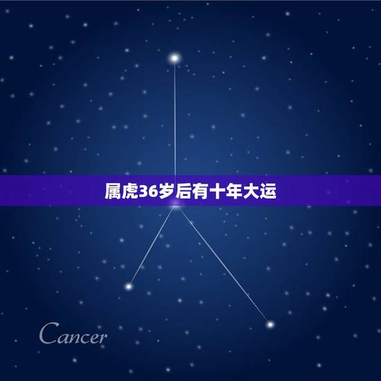 属虎36岁后有十年大运 天生就聪明的六大星座 属虎36岁后有十年大运 天生就聪明的六大星座