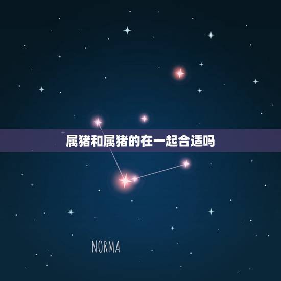 属猪和属猪的在一起合适吗,属猪和属龙的合不合 属猪和属猪的在一起合适吗,属猪和属龙的合不合