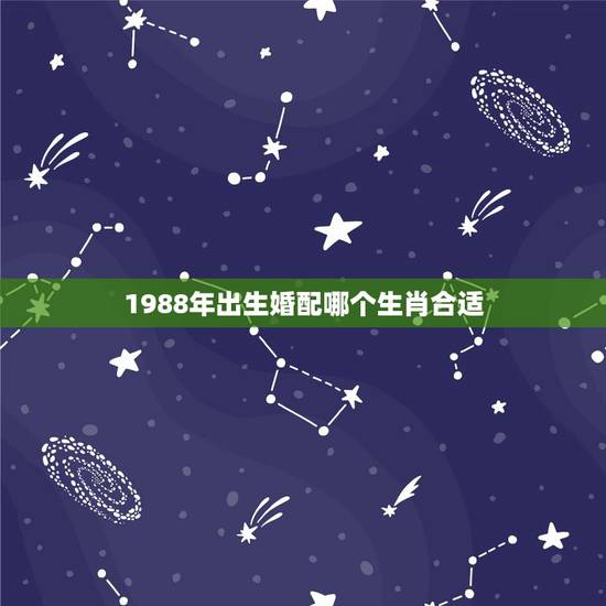 1988年出生婚配哪个生肖合适，88年的男生最佳配偶是什么属相？