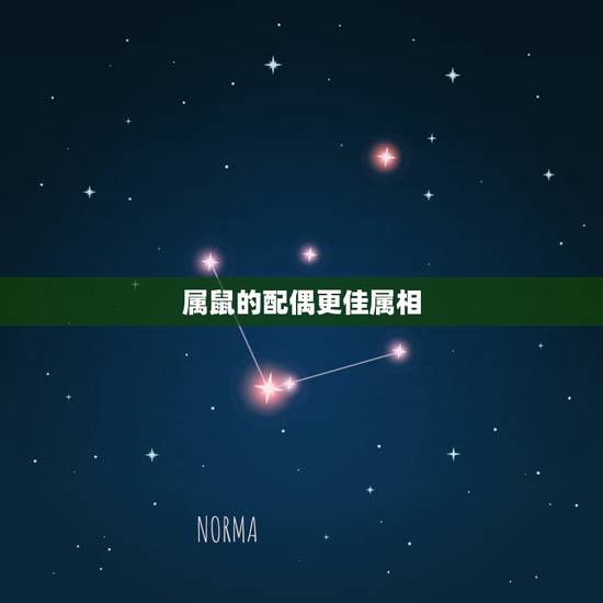 属鼠的配偶更佳属相，鼠婚姻跟什么属相更好