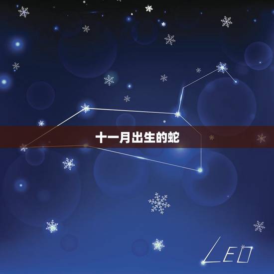 十一月出生的蛇,属蛇十一月出生是啥命 十一月出生的蛇,属蛇十一月出生是啥命