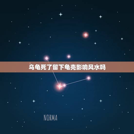 乌龟死了留下龟壳影响风水吗,乌龟死了是有什么预兆 乌龟死了留下龟壳影响风水吗,乌龟死了是有什么预兆