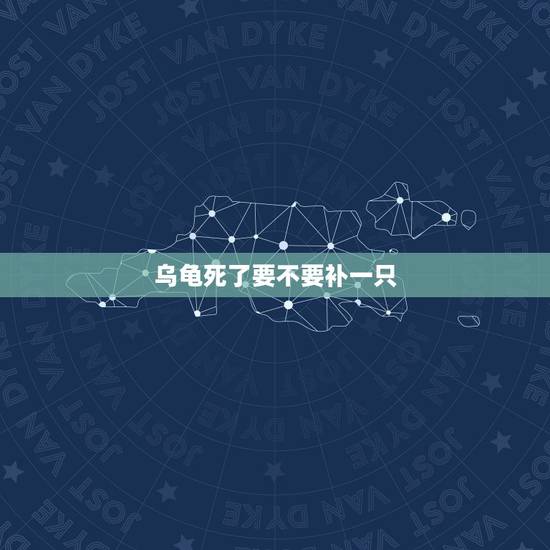乌龟死了要不要补一只，家里养了十几年的乌龟突然死了一只，另外两只需要放