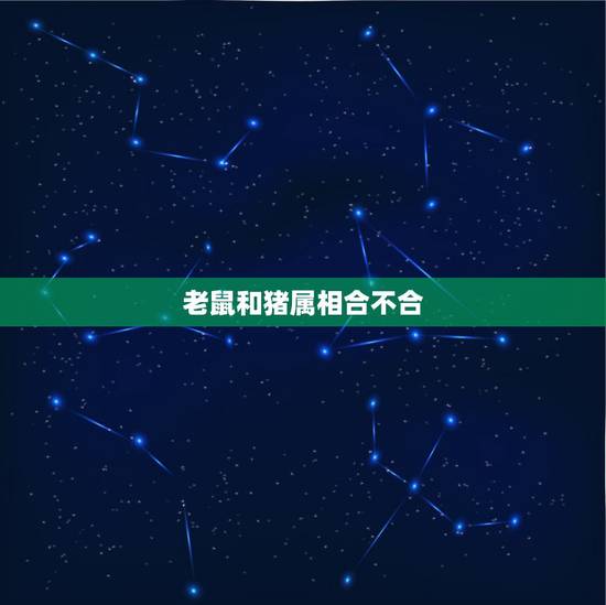 老鼠和猪属相合不合，属猪和属老鼠的合吗？