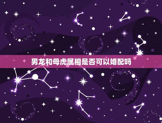男龙和母虎属相是否可以婚配吗，属龙的能和属虎的能婚配么