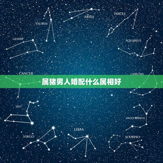 属猪男人婚配什么属相好,属猪的戴什么属相好 属猪男人婚配什么属相好,属猪的戴什么属相好