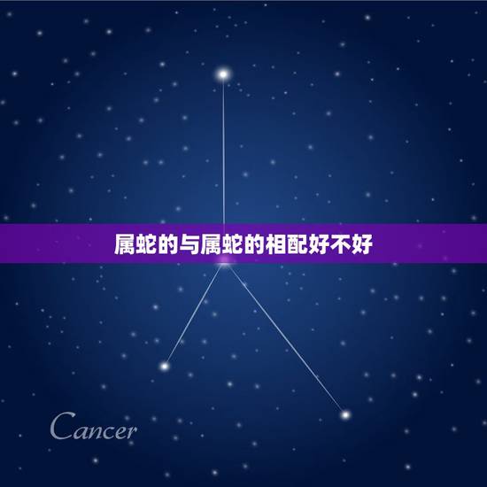 属蛇的与属蛇的相配好不好,属蛇的和属蛇的相配吗 属蛇的与属蛇的相配好不好,属蛇的和属蛇的相配吗