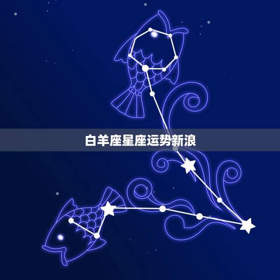 白羊座星座运势新浪，新浪星座12星座年运势
