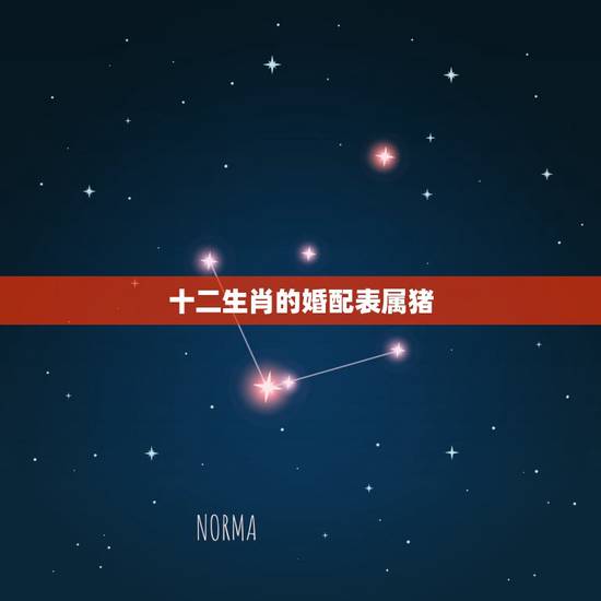 十二生肖的婚配表属猪，生肖猪跟什么最配，属猪的属相婚配表