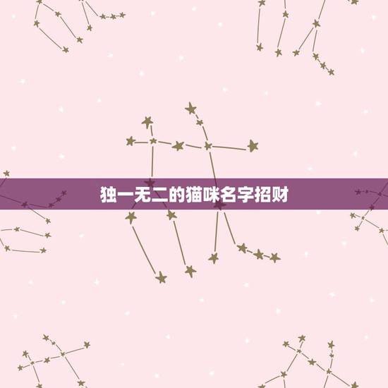独一无二的猫咪名字招财,给猫咪起名字要有招财的意思 独一无二的猫咪名字招财,给猫咪起名字要有招财的意思