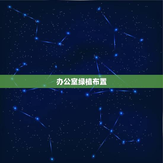 办公室绿植布置，办公室应该如何摆放花卉
