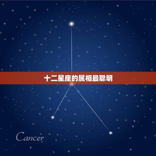 十二星座的属相最聪明，12星座的最佳属相搭配