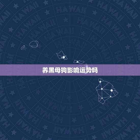 养黑母狗影响运势吗,养母狗需要的注意事项 养黑母狗影响运势吗,养母狗需要的注意事项
