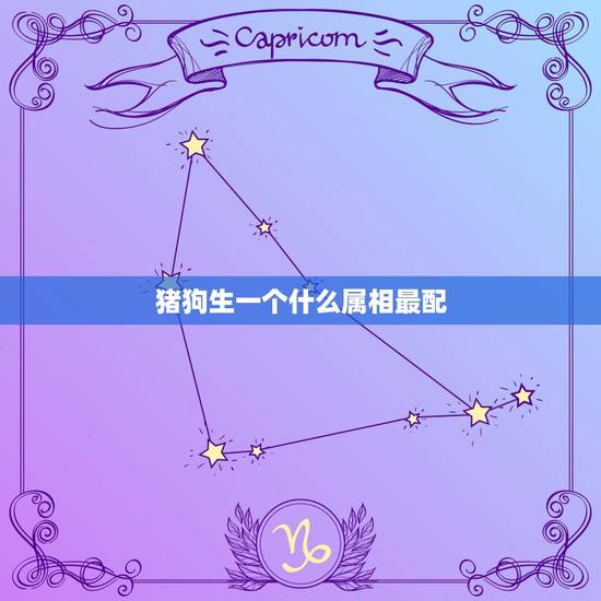 猪狗生一个什么属相最配，属狗的男人和什么属相最配