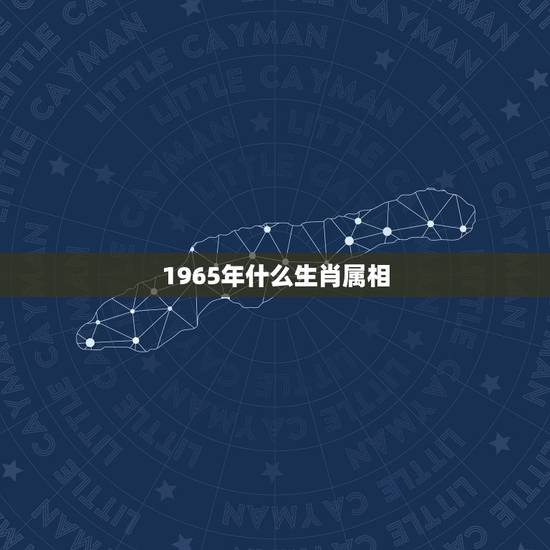 1965年什么生肖属相，1965年属什么生肖
