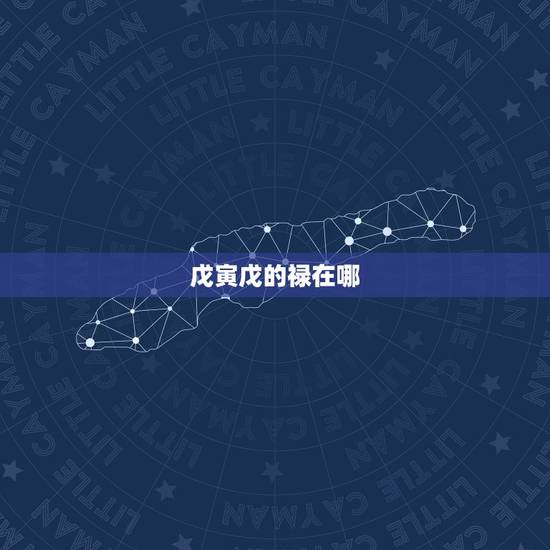 戊寅戊的禄在哪，壬禄是什么意思
