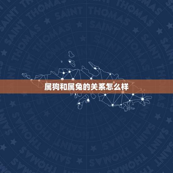 属狗和属兔的关系怎么样,属狗的跟属兔的和属虎的配对怎么样,哪个更适合? 属狗和属兔的关系怎么样,属狗的跟属兔的和属虎的配对怎么样,哪个更适合?