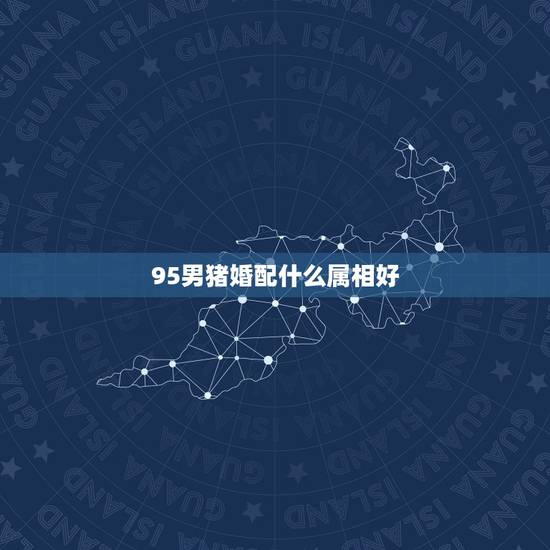 95男猪婚配什么属相好,95年属猪最佳婚配属相 95男猪婚配什么属相好,95年属猪最佳婚配属相