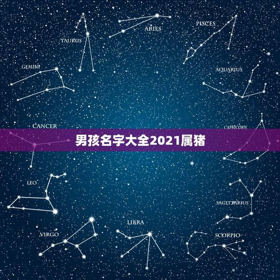 男孩名字大全2021属猪，高分，起名，属猪，男孩